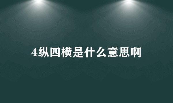4纵四横是什么意思啊