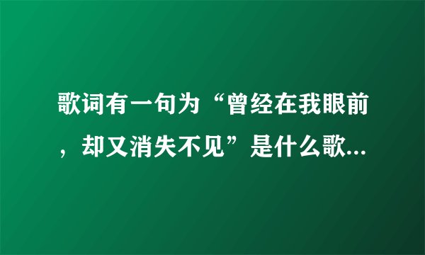 歌词有一句为“曾经在我眼前，却又消失不见”是什么歌，谁唱的？
