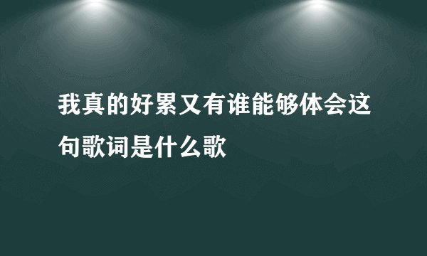 我真的好累又有谁能够体会这句歌词是什么歌
