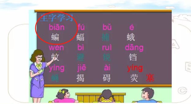 蝙字组什么词,两个字?