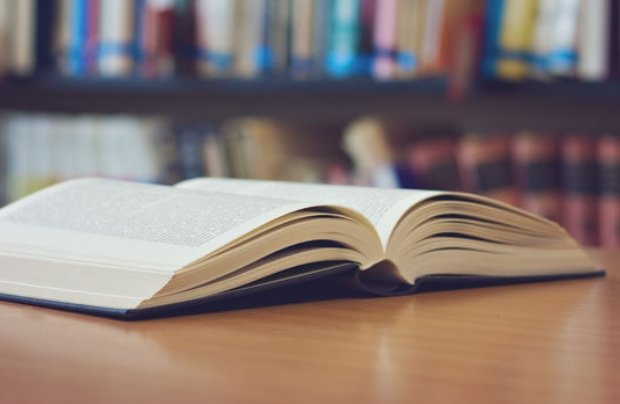 李凡小说养鸡养鱼小说叫什么名字