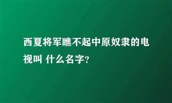 西夏将军瞧不起中原奴隶的电视叫 什么名字？