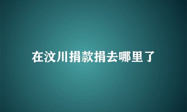 在汶川捐款捐去哪里了