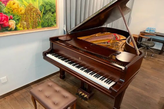 简单的钢琴曲谱 初学