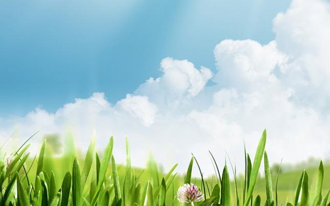 阳光气质的网名有什么？