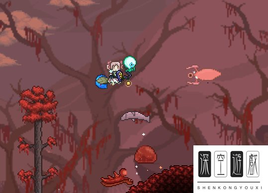 泰拉瑞亚黑隐士在哪?