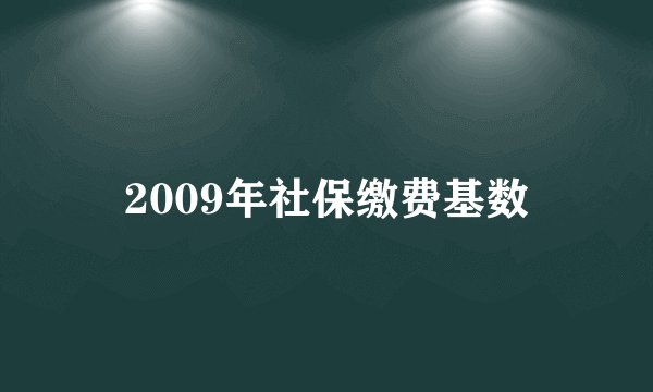2009年社保缴费基数