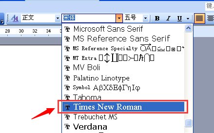 新罗马字体是什么字体?