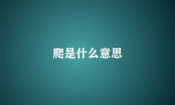 爬是什么意思