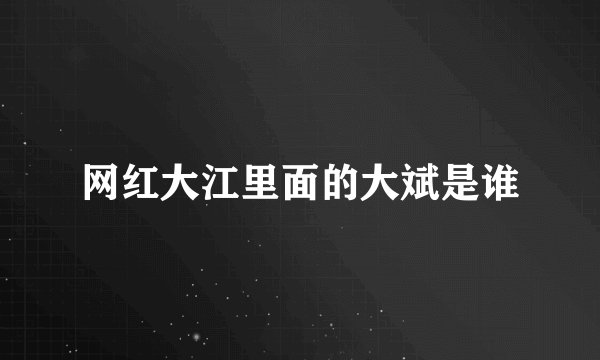 网红大江里面的大斌是谁