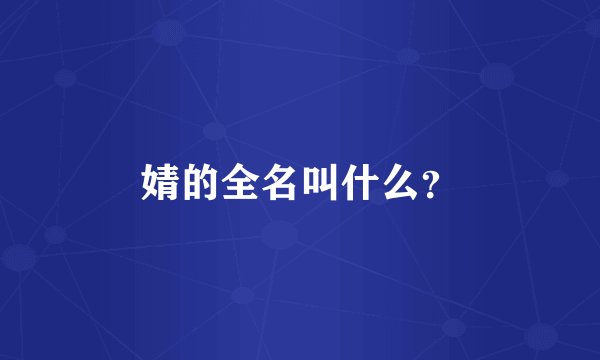 婧的全名叫什么？