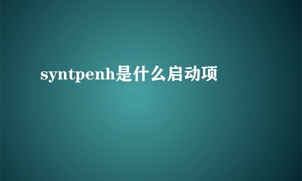 syntpenh是什么启动项