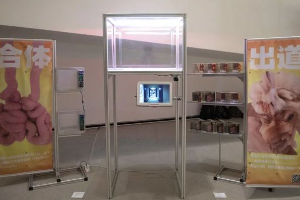 如何看待央美研究生毕业作品《小鲜肉模拟器》,利用明星生物信息...