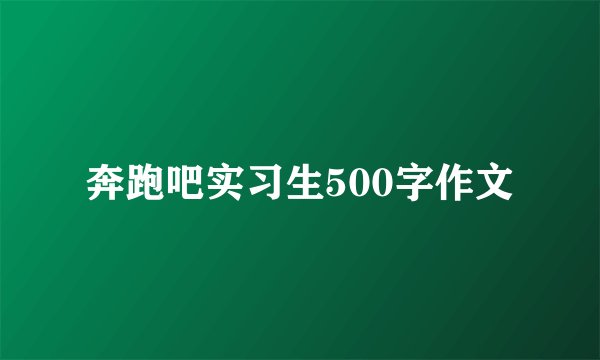 奔跑吧实习生500字作文