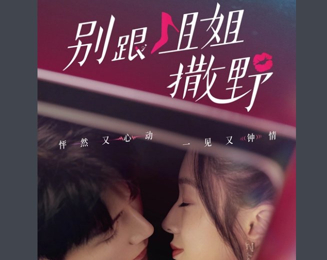 别跟姐姐撒娇电视剧共多少集