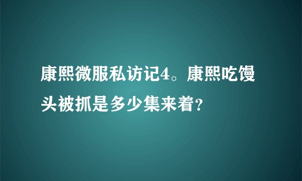 康熙微服私访记4。康熙吃馒头被抓是多少集来着？