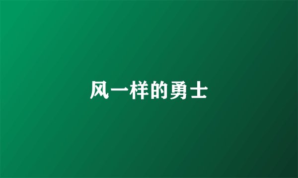 风一样的勇士