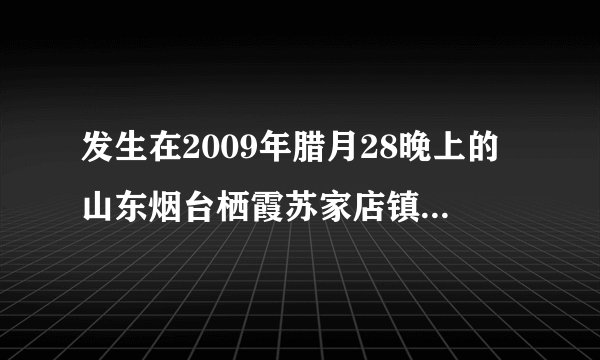 发生在2009年腊月28晚上的山东烟台栖霞苏家店镇特大杀人案有谁知道具体情况的？？