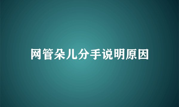 网管朵儿分手说明原因