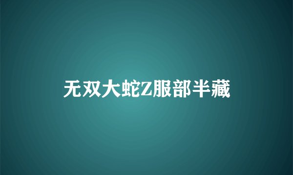 无双大蛇Z服部半藏