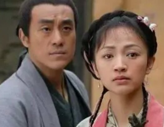 何冰主演的电视剧大全