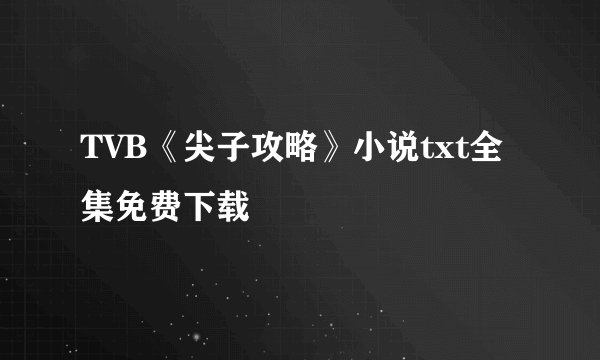 TVB《尖子攻略》小说txt全集免费下载