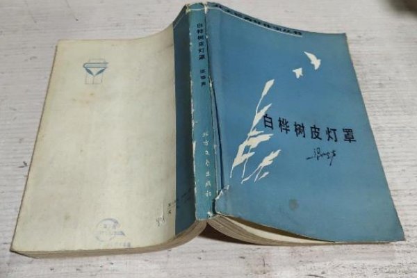 梁晓声十大经典小说