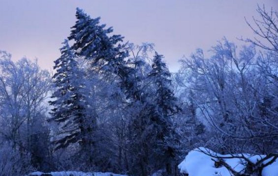 求京剧<林海雪原>的唱词