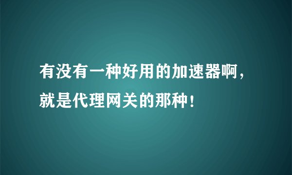 有没有一种好用的加速器啊，就是代理网关的那种！