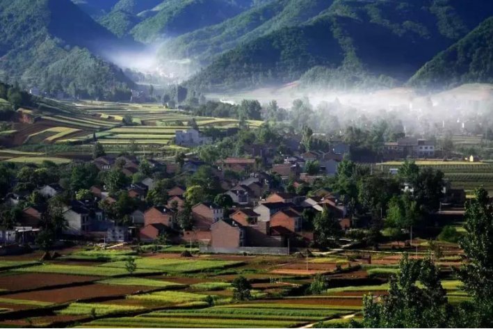 蓝田县教育局电话