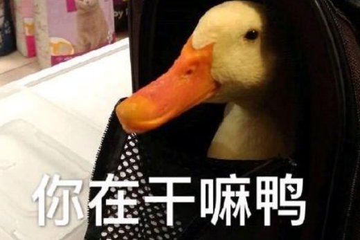 宝贝 在干嘛呢 用粤语怎么说？