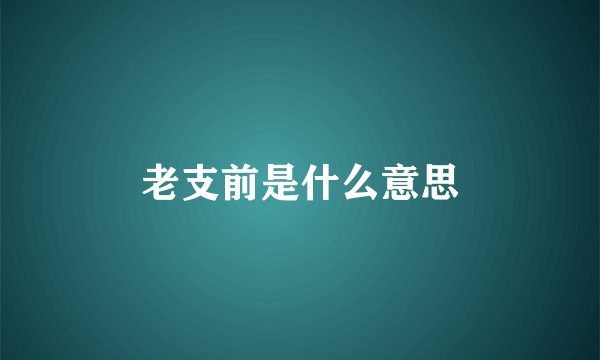 老支前是什么意思
