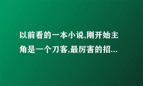 以前看的一本小说,刚开始主角是一个刀客,最厉害的招是拨刀术,有天和一个人比试结果穿越了,到了异世,他...
