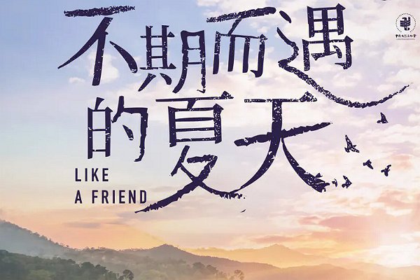 秦海璐的电影有哪些