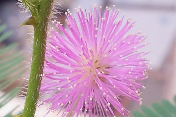 含羞草传媒2021隐藏路线