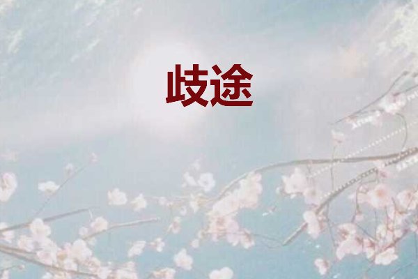 歧途(高干)坑讲的什么