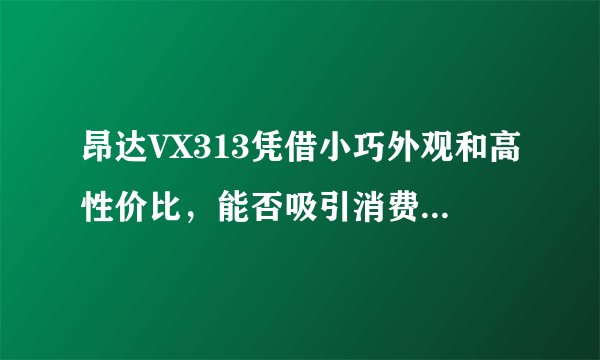 昂达VX313凭借小巧外观和高性价比，能否吸引消费者的眼球？