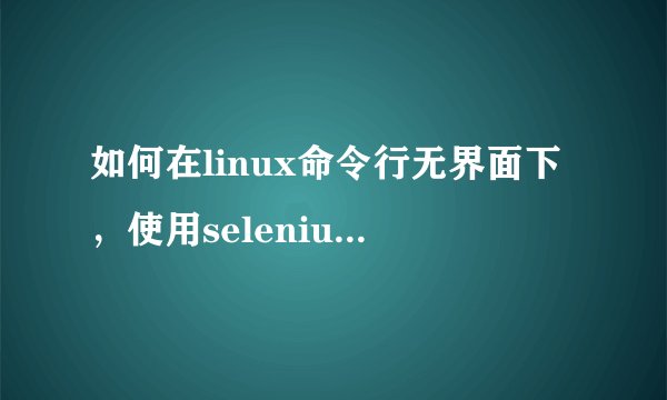如何在linux命令行无界面下，使用selenium进行自动化测试