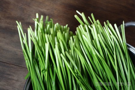 男人的加油站是什么意思