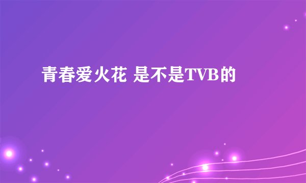 青春爱火花 是不是TVB的