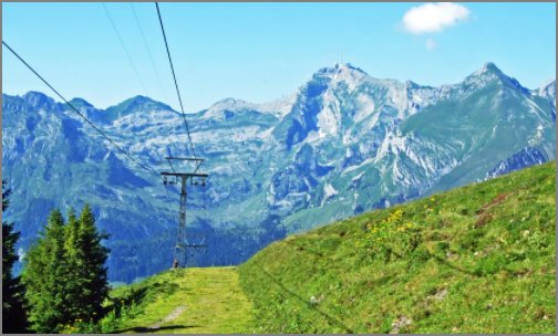 MOS是什么的缩写?