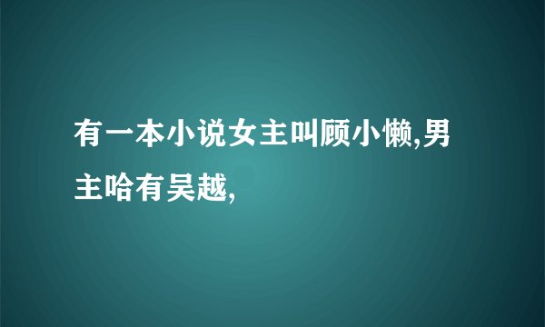 有一本小说女主叫顾小懒,男主哈有吴越,