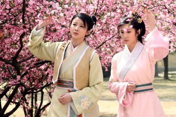 孙菲菲演的电视剧