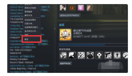 《csgo》国际服启动项是什么?