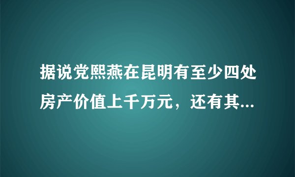 据说党熙燕在昆明有至少四处房产价值上千万元，还有其他房产吗？