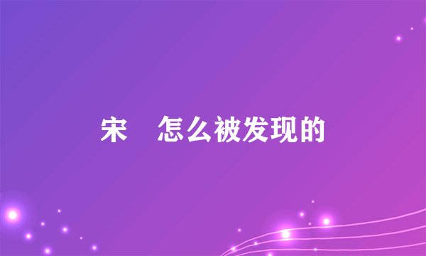 宋喆怎么被发现的