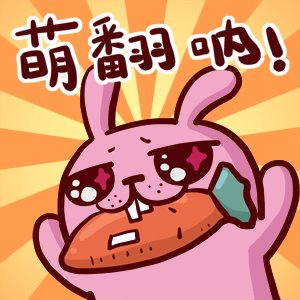 这个兔子叫什么