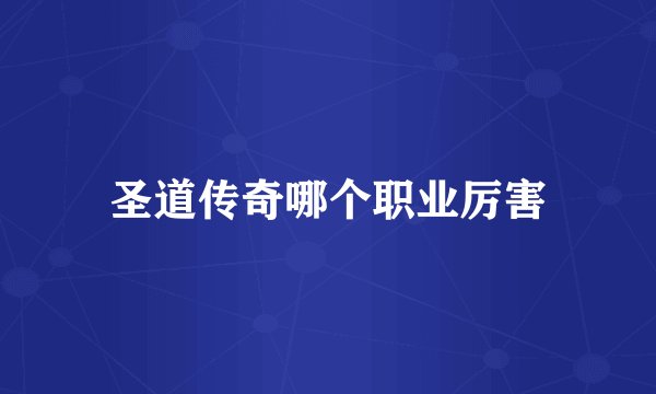 圣道传奇哪个职业厉害