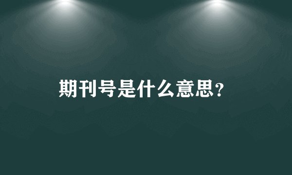 期刊号是什么意思？