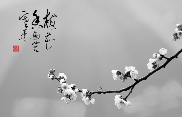 梅花香自苦寒来的全诗?